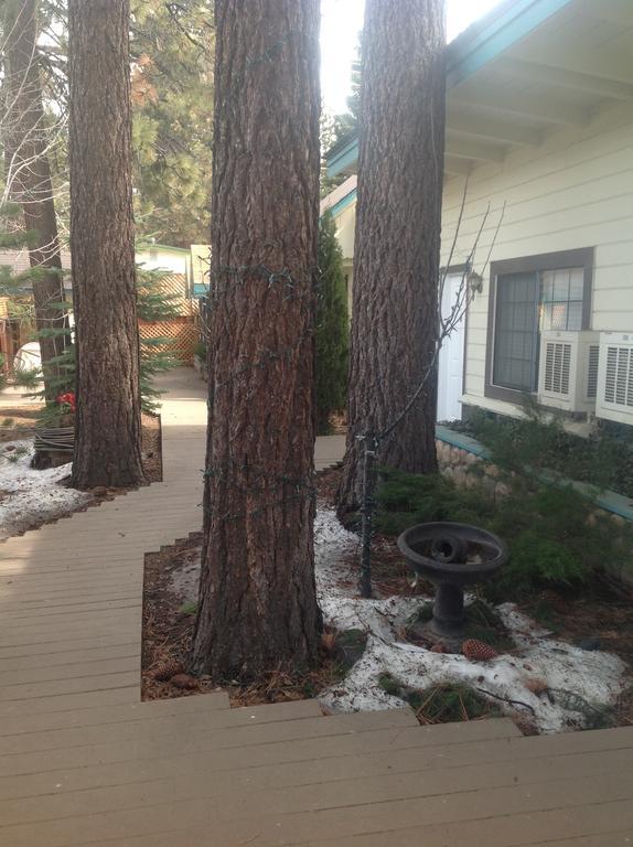 Tahoe Chalet Inn, The Theme Inn Lake Tahoe Airport Extérieur photo