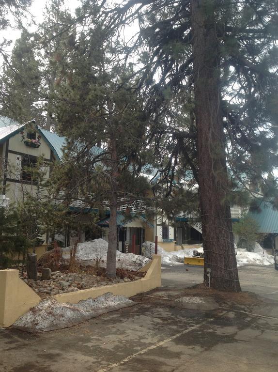Tahoe Chalet Inn, The Theme Inn Lake Tahoe Airport Extérieur photo